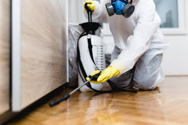 Best Flea Control Services  in New Carlisle, IN