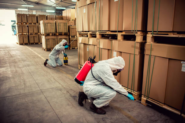 Best Bed Bug Extermination  in New Carlisle, IN