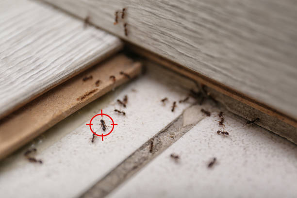 Pest Prevention Services in New Carlisle, IN