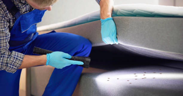 Best Pest Removal Services  in New Carlisle, IN