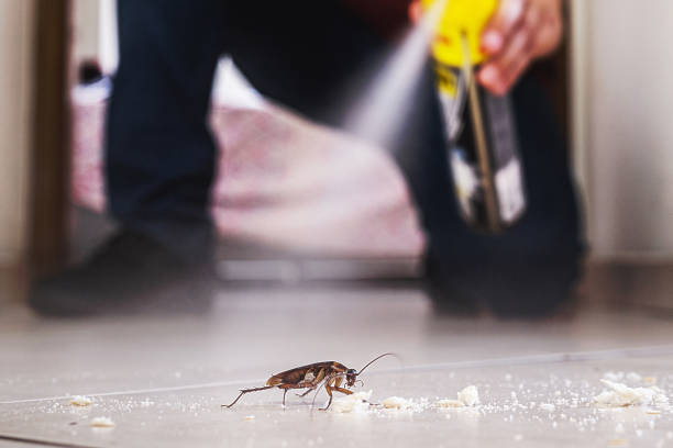 Best Termite Control Services  in New Carlisle, IN