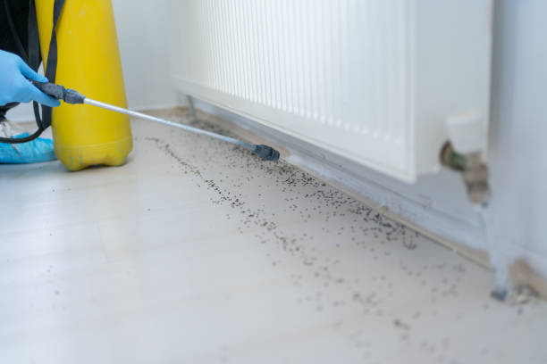 Best Pest Control Near Me  in New Carlisle, IN